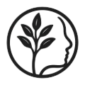 ECAV Consultores